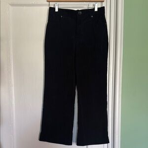 7 For All Mankind Black Flare Cuordoroys